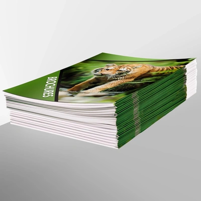 Brochures